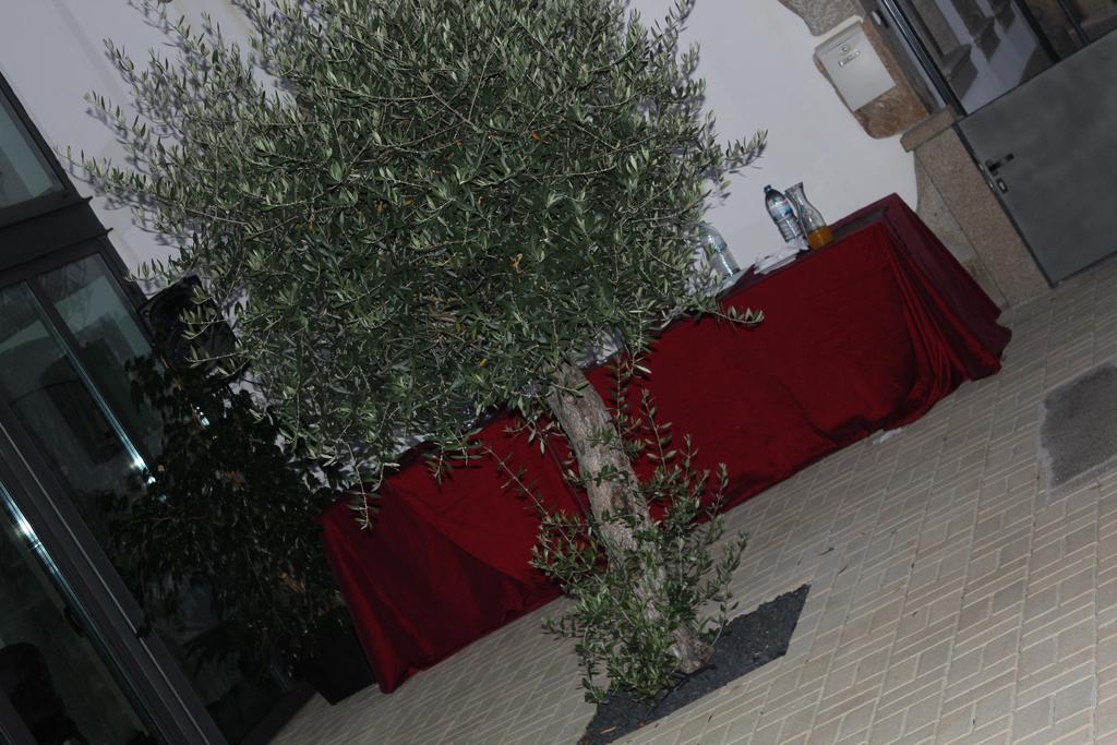 Casa Origens